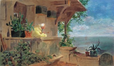 The Lookout by Carl Spitzweg
